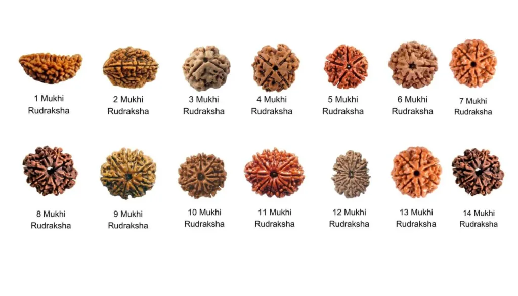 शिव का रुद्राक्ष से संबंध: रुद्राक्ष पहनने के लाभ 3 फोटो स्त्रोत pinterest 4