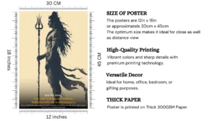 2 6 png e1739466060930
